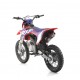 Pit Bike RXF Freeride 150